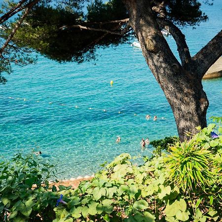 Cabanon Moderne, Les Pieds Dans L'Eau Villa Le Pradet Eksteriør billede