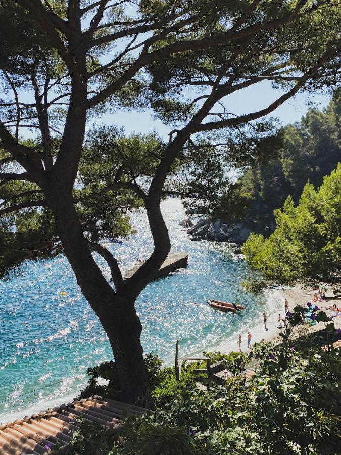 Cabanon Moderne, Les Pieds Dans L'Eau Villa Le Pradet Eksteriør billede